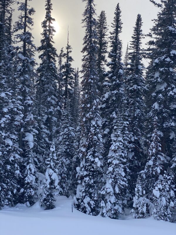 Sunshine Village, Banff, Canada. Image © PlanetSKI